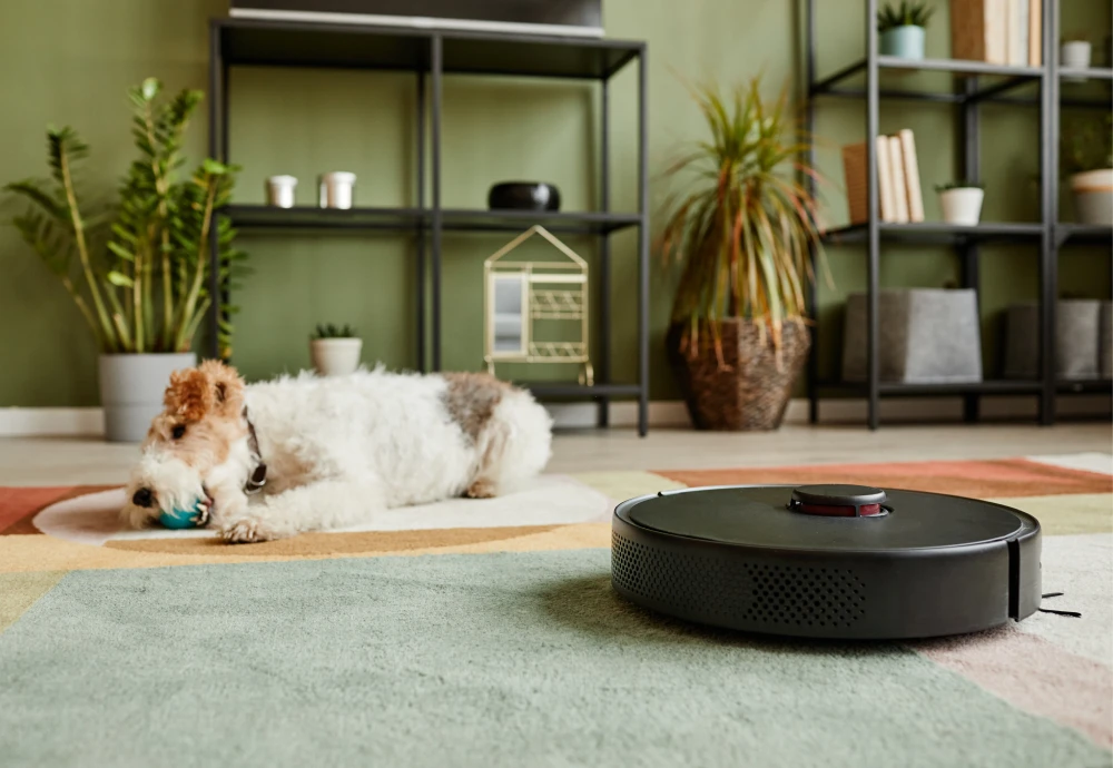 what's the best robot vacuum cleaner to buy